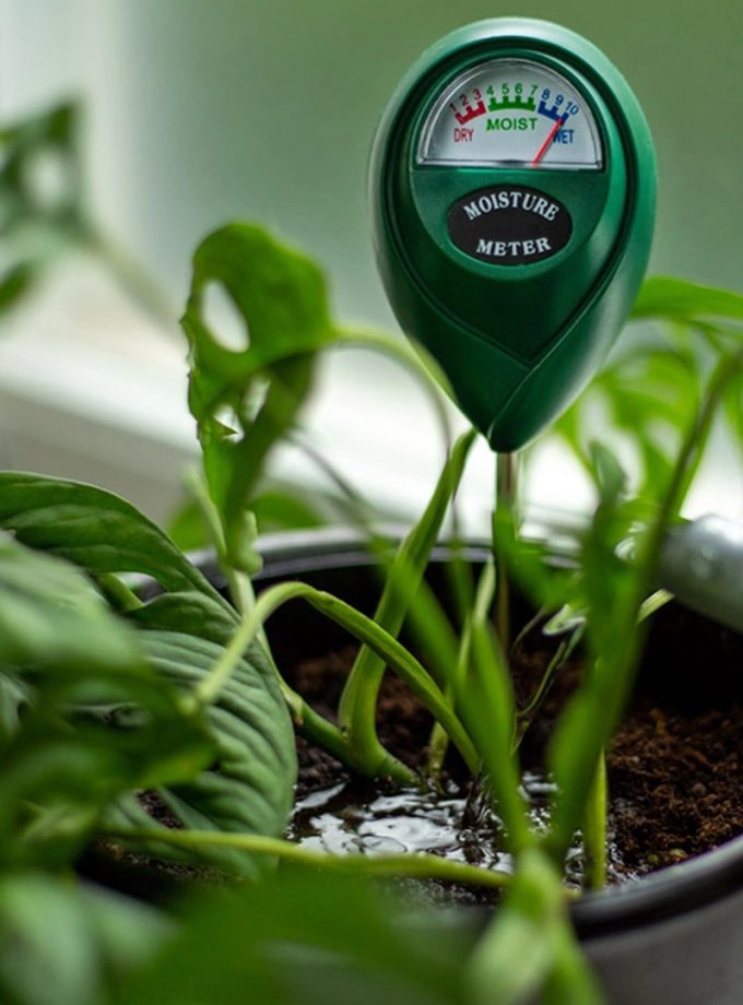 hygrometer-planten-groen-2