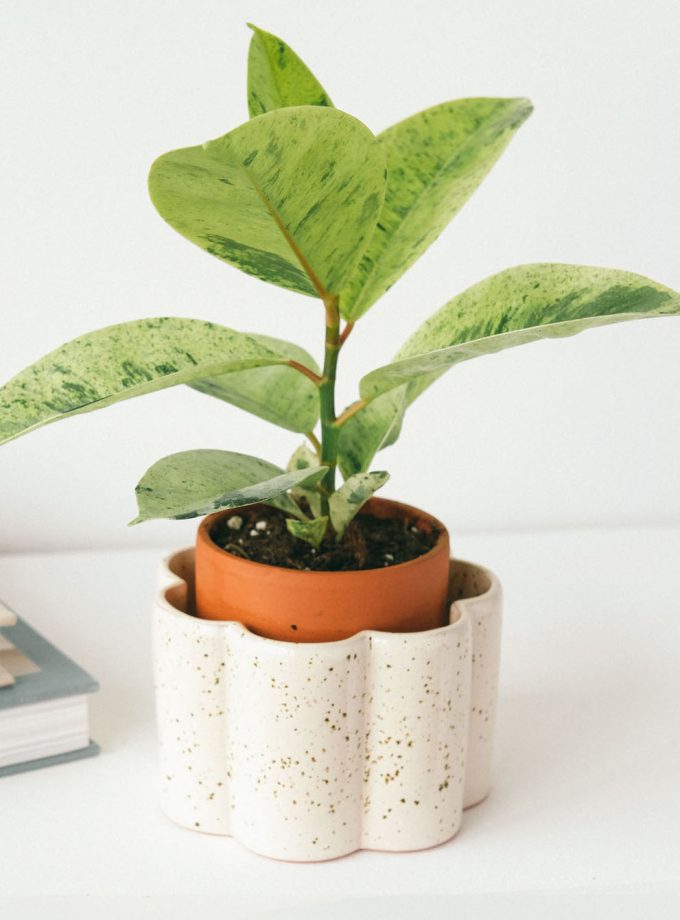 pepin-zelfwaterende-pot-terracotta-keramiek-wit