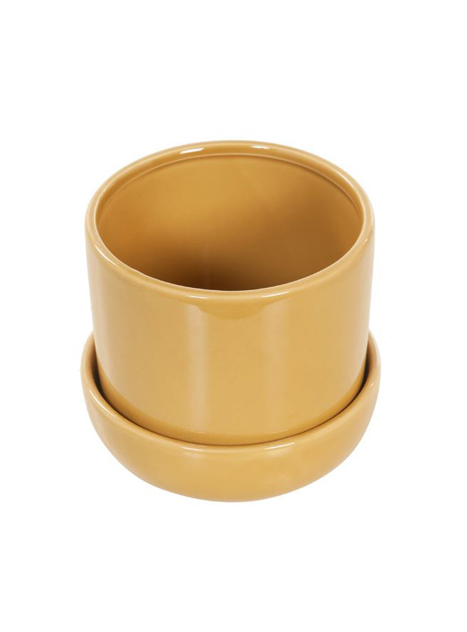WD-gele-pot-met-schaal