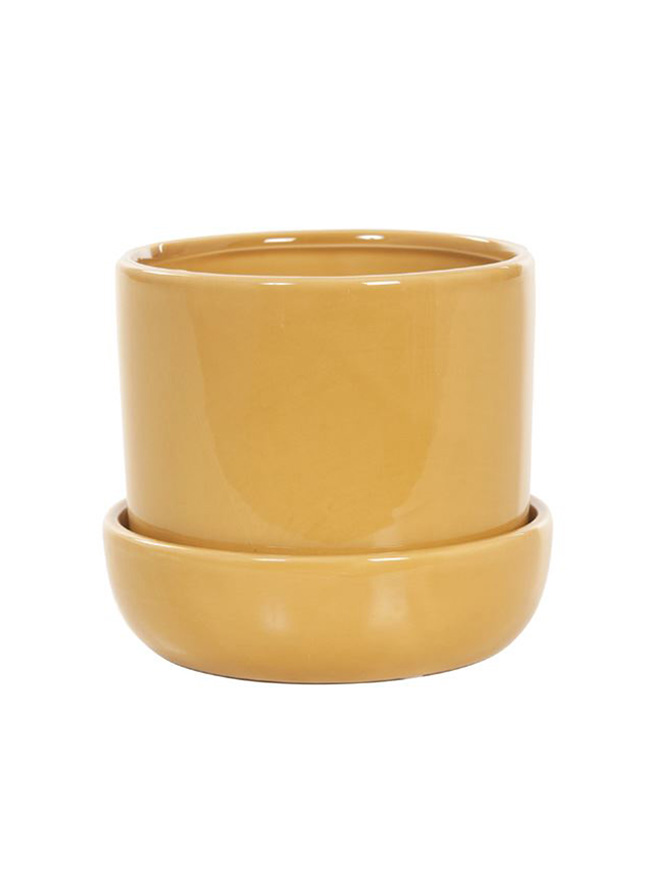 WD-gele-pot-met-schaal