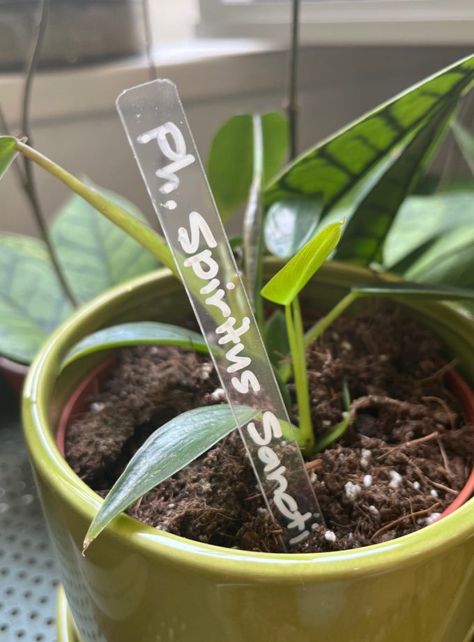 transparante-planten-label-2