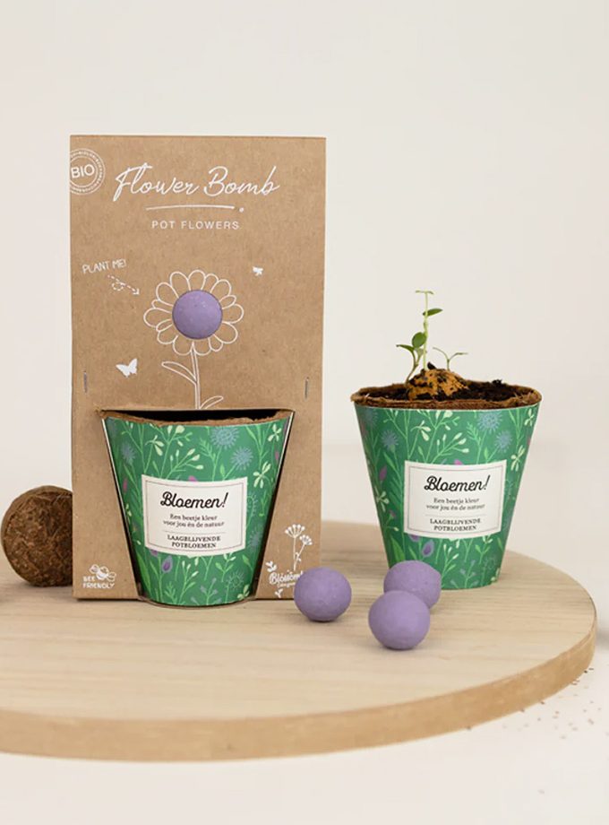 blossombs-growkit-bloemen-2