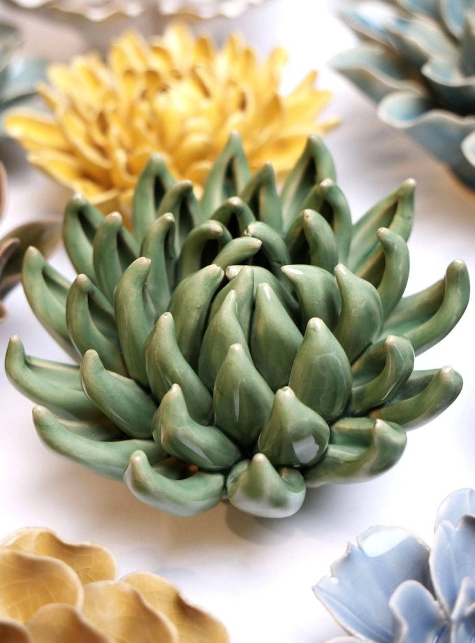 keramieken-bloem-wand-jadeplant