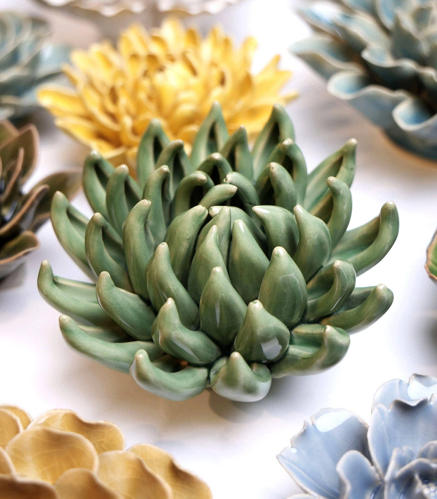 keramieken-bloem-wand-jadeplant