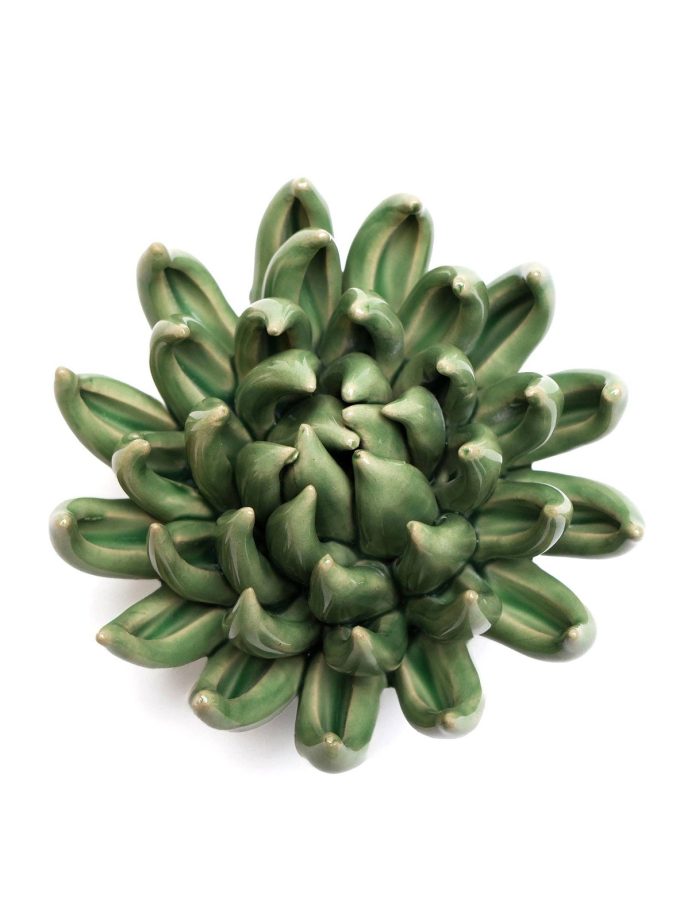 keramieken-bloem-wand-jadeplant