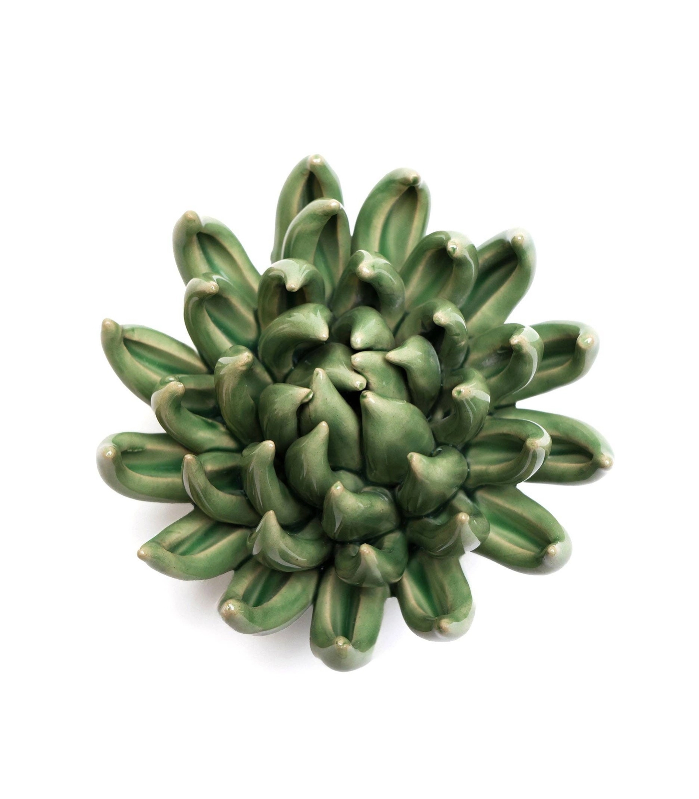 keramieken-bloem-wand-jadeplant