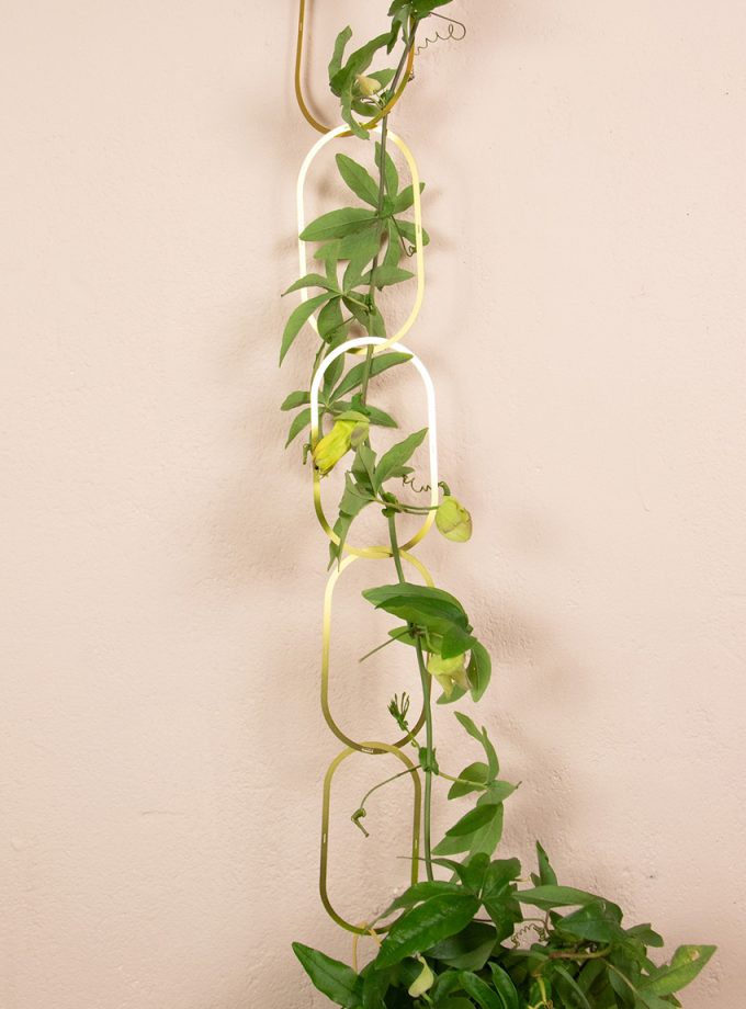 botanopia-plant-support-brass