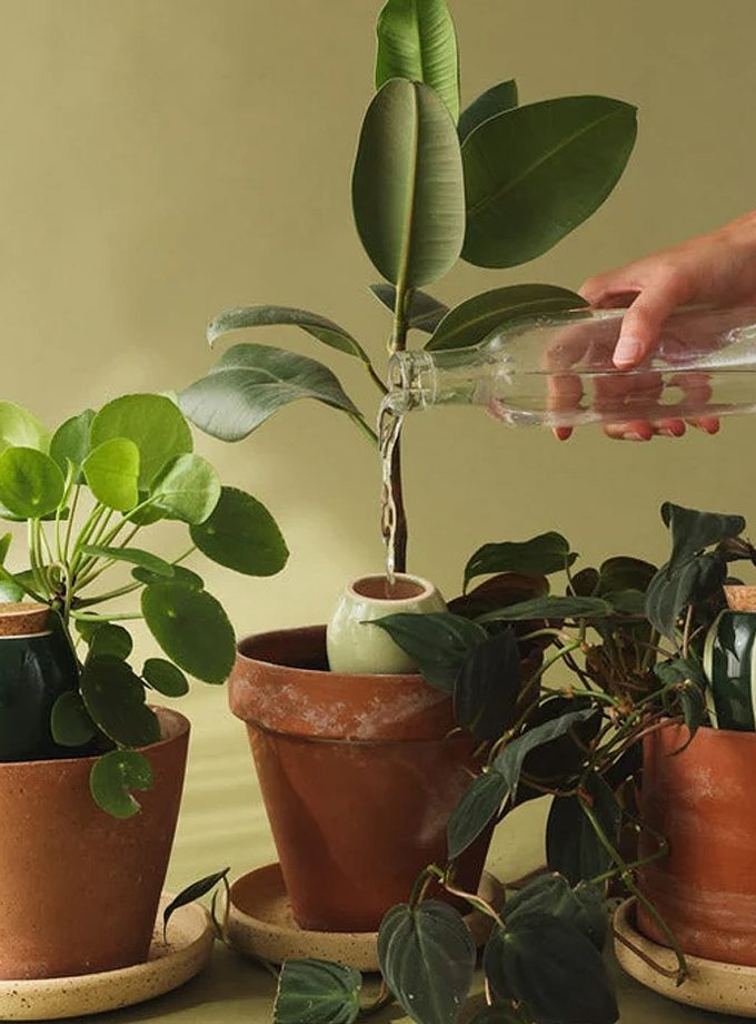 pepin-mini-olla-groen.jpg