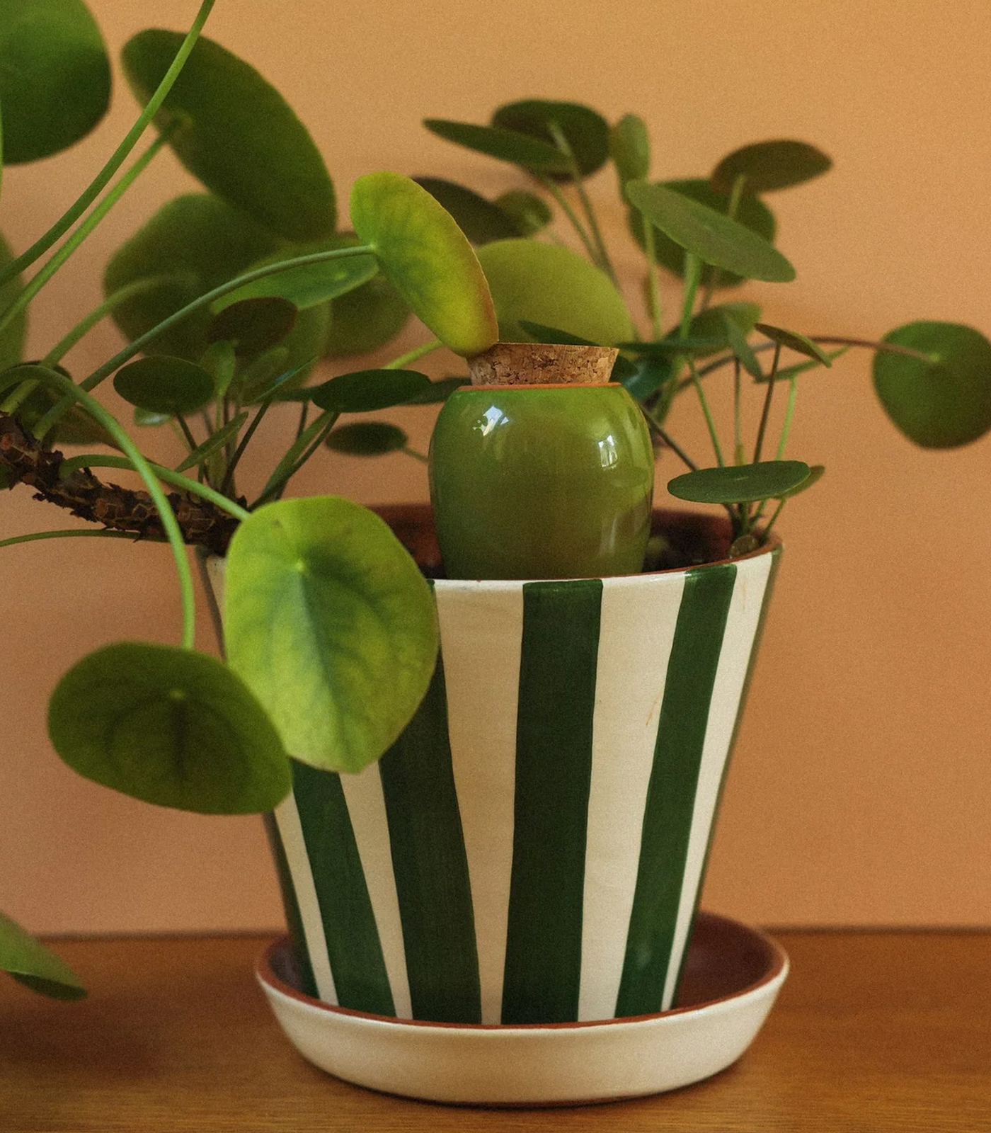 pepin-mini-olla-room-service-waterdruppelaar
